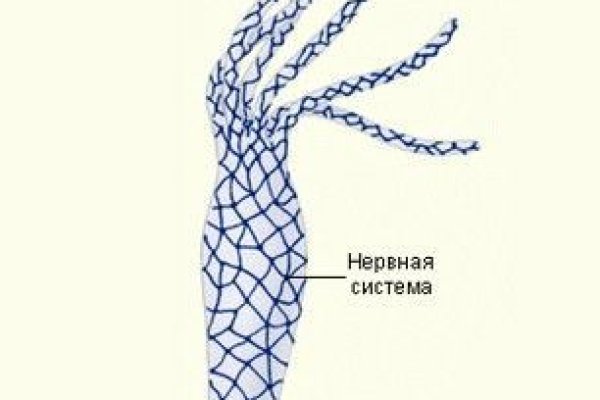 Кракен зеркало