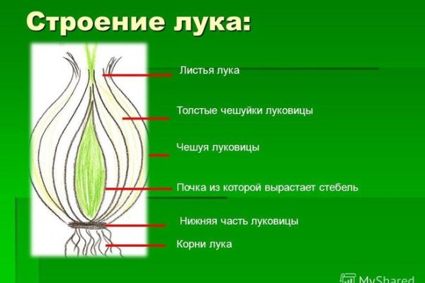 Как найти кракен шоп
