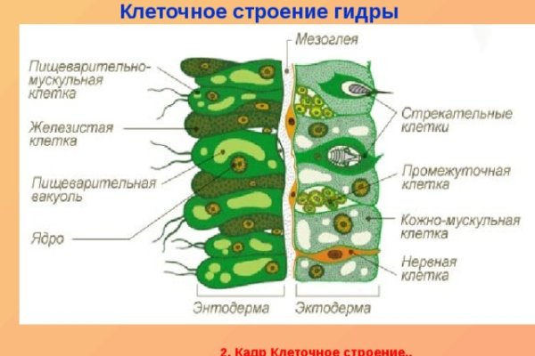Не могу зайти на кракен