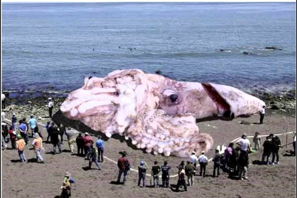 Kraken ссылка onion 2kmp