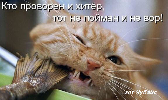 Рабочая ссылка кракен в тор