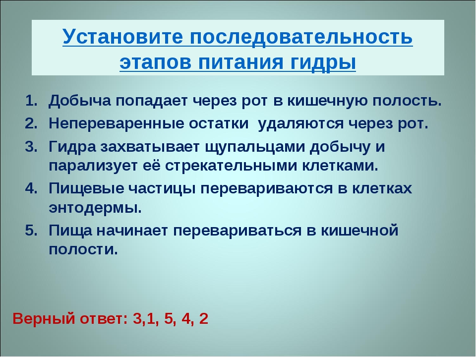 Кракен аватарка маркетплейс